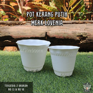 Pot Kerang Lovenia | Pot Kerang 15 - Pot Kerang 18