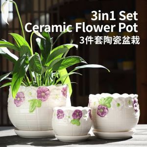 Ceramic 3in1 Set Flower Pot ♡ Succulent Plant Vase Garden Pasu Bunga Big Medium Small ♡ Ready Stock