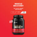 Optimum Nutrition Gold Standard 100% Whey Protein  (2lbs). 