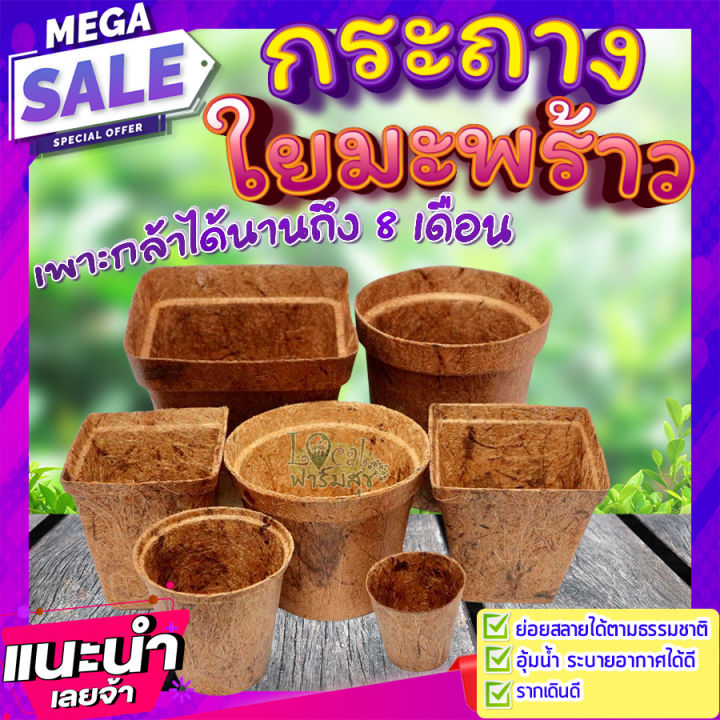 กระถางใยมะพร้าว homes เซ็ต 10 ใบ ย่อยสลายเป็นปุ๋ยได้