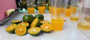 JERUK PERAS JAWA FRESH SEGAR 1KG 1000GRAM  | JERUK IJO |