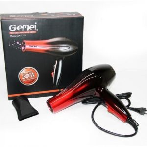 GEMEI HAIR DAYER GM-1719