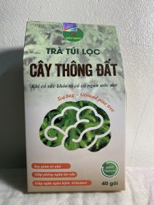 Cây thông đất túi lọc (hộp 40 gói) trà túi lọc cây thông đất giúp tăng trí nhớ sa sút trí tuệ tai biến đau nhức xương khớp