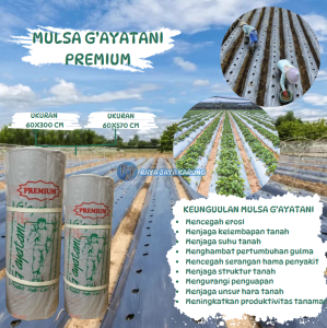 Plastik Mulsa Pertanian Merk Gayatani 1 Roll - Lebar 60 cm Panjang 300 Cm dan 570 cm