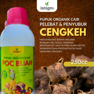 Pupuk Penyubur Cengkeh / Pupuk Cair Pelebat Cengkeh / Pupuk Buah Cengkeh Pelebat dan Penyubur