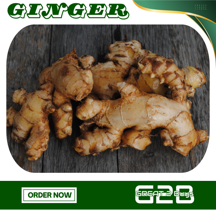 100 Grams Fresh Ginger Luya Laya from Benguet | Lazada PH