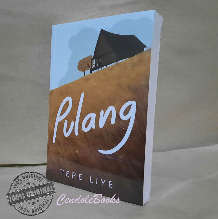 Novel Pulang - Tere Liye