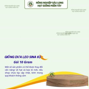 Hạt giống Dưa leo Sina 63 10gr - HmClause (ÉN VÀNG)