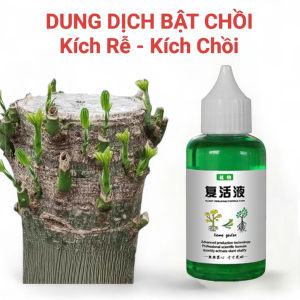 Thanh Phân Bón Cây Tan Chậm - Đa Năng Kích Rễ Bật Chồi Lá Xanh Phòng Bệnh - Dùng Cho Cây Cảnh Bonsai Sen Đá - Hộp 3 màu 30 thanh