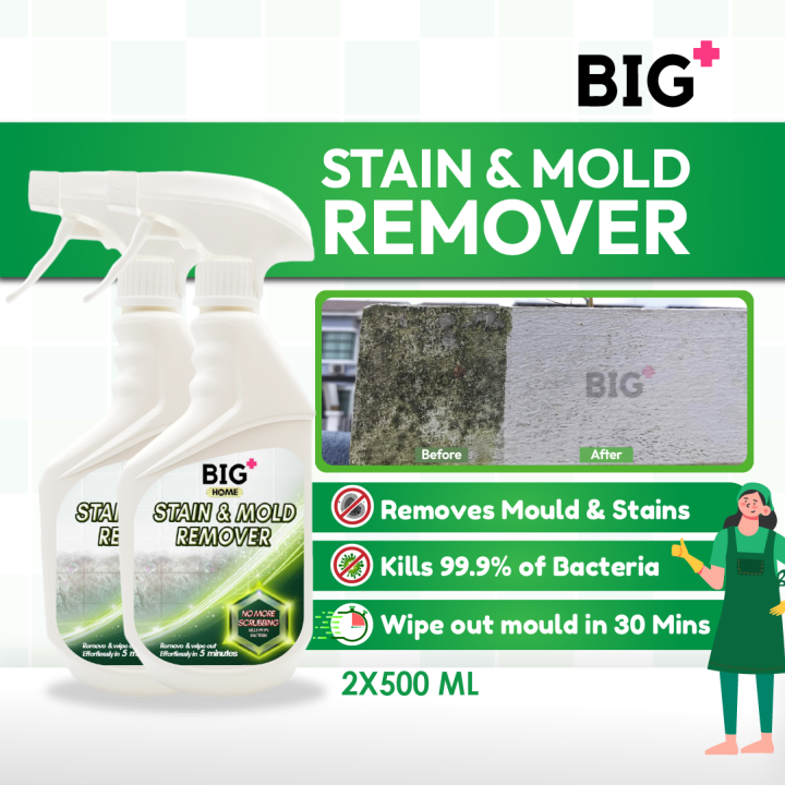 BIG+ Stain & Mold Remover (2 x 500ml) Toilet Bathroom Wall Mold Mildew ...