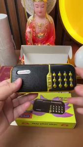 Máy Niệm Phật VASA Mẫu T3 Có Đèn Pin Khe Gắn Thẻ Pin Dai