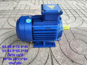 Mô tơ động cơ điện 3 pha 15kw(2hp) vòng tua 2850v/p chính hãng Toàn Phát