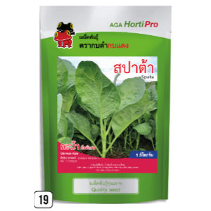 เมล็ดพันธุ์ คะน้าสปาต้า (ถุงใหญ่)