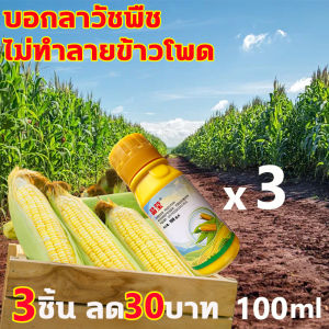 🌽ส่งในไทย 1-3วันไดัรับของ🌽 ฆ่าหญ้าข้าวโพด ยาชุดข้าวโพด 100g ยาฆ่าหญ้าข้าวโพด ฆ่าหญ้ารอบข้าวโพด กำจัดวัชพืชเท่านั้น ไม่ทำลายข้าวโพด สารกำจัดวัชพืชใบแคบและใบกว้าง ยาฉีดหญ้าข้าวโพด หญ้าดอกขาว หญ้าตีนกา หญ้านกสีชมพู