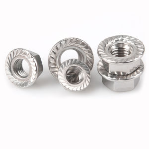 316 Stainless Steel Hexagonal Flange Nut M3 M4 M5 M6 M8 M10 M12 M14 M16 M20 Flat Lock Nut with Teeth