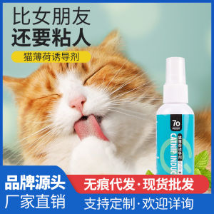Catnip Spray Inducer Cat Happy Water Inducer Kitten Zero Ball Attract Soothes Into Cat
