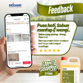 DESANS Fabric Sofa Cleaner | Low Foam Carpet & Upholstery Shampoo | Sofa, Mattress, Car Seat Cleaner (4.3kg). 