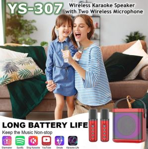YS-307 3D Stereo Surround KTV Speaker Home Karaoke Bluetooth Speaker with Handle & Wireless Dual Microphones