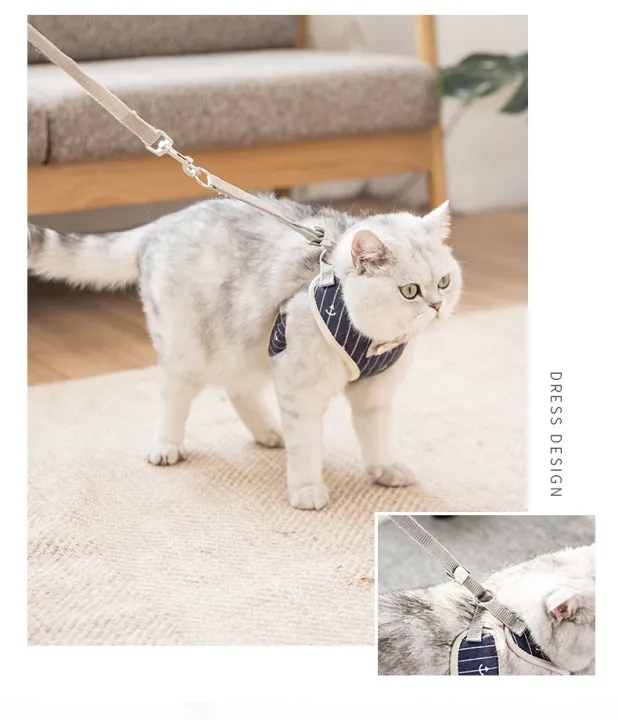 Korean%20Style%20Cat%20Harness%20with%20Leash%20Set%20Pet%20Walking%20Vest%20Lead%20Harness%20Adjustable%20Soft%20Mesh%20Kitten%20Puppy%20Small%20Dogs%20-%20Image%207