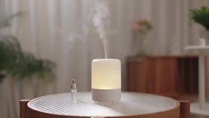 Cross-border new product: Colorful Flame Aromatherapy Machine USB Plug-in household small humidifier and essential oil diffuser