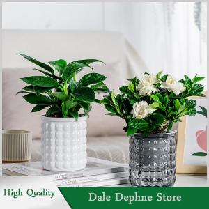 [Dale Dephne] กระถางต้นไม้พลาสติกใสรดน้ำด้วยตัวเองขนาดเล็กสำหรับตกแต่งบ้าน