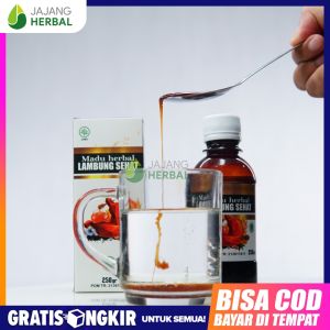 Obat Asam Lambung Gerd Nyeri Pada Ulu Hati Sakit Perut Bawah - Madu Herbal Lambung Sehat