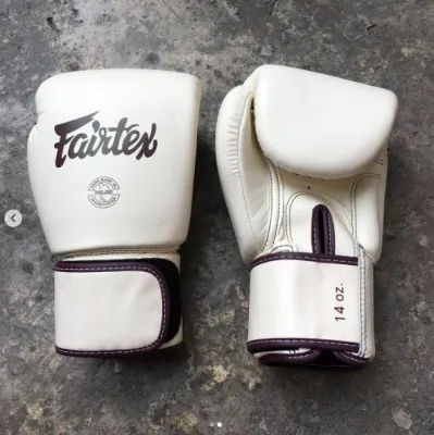 Fairtex BGV16 Matte Leather Muay Thai Boxing Gloves