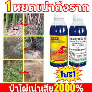 หยดเดียวรากต้นไม้ร้อยปีเน่า ยาฆ่าต้นไม้ใหญ อัพเกรดใหม่2024เข้มข้นมาก1ขวดเท่ากับ20ขวด ยาฆ่าตอไม้ใหญ่ ยาฆ่าตอต้นไม้ สูตรปรับปรุงใหม่ผลกำจัดต้นไม้เพิ่ม50เท่า ยากำจัดต้นไม้ ยากำจัดต้นไม้ใหญ่ สามารถฆ่าต้นไม้และหญ้าไผ่ได้ทุกชนิด ไม่ทำร้ายดิน ยาฆ่าตอไม้ ยาฆ่าไผ่