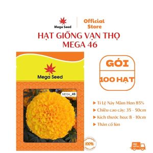Hạt giống hoa vạn thọ Mega 46 Cam Lùn bông to đều form tròn đẹp cây khỏe gói 20 hạt