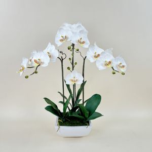 กระถางกล้วยไม้ประดิษฐ์ กล้วยไม้บิ๊กฟาแลนพร้อมกระถาง ดอกไม้ปลอมตกแต่งบ้าน