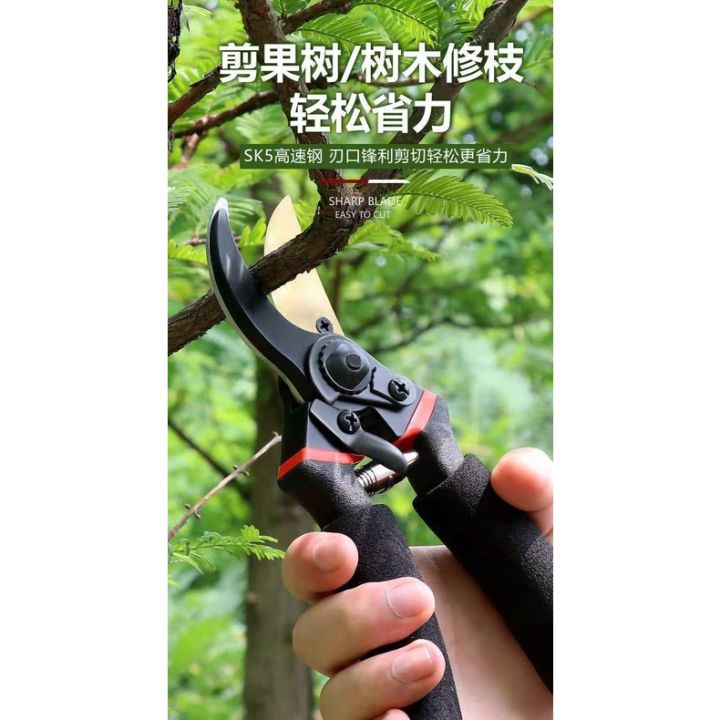%E2%9C%A8SG%20STOCK%E2%9C%A8%20Pruning%20Shears%20Heavy%20Duty%20Garden%20Scissors%20Sharp%20Hand%20Pruner%20Anti%20Rust%20Plant%20Cutter%20Tree%20Branch%20Tool%20-%20Image%205
