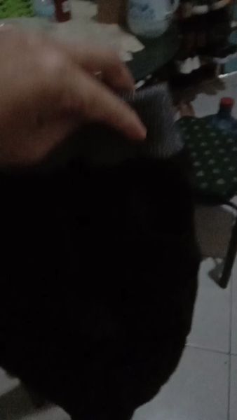 Buyer review video 2