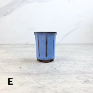 The Leaferie Petit Bonsai Pot (Series 7) plant pots. flowerpot . flowerpots . planter . planters . succulent