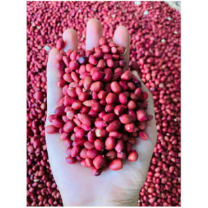 1kg Hành khoai phi sẵn siêu giòn dùng cho các loại bánh tráng xôi bánh cuốn