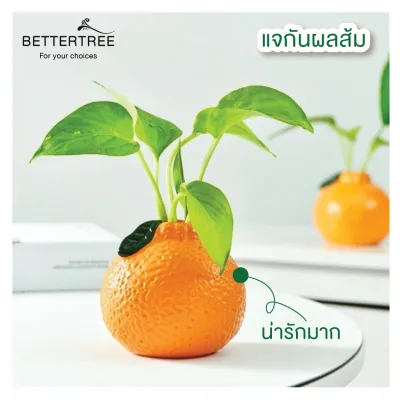 แจกันผลส้ม แจกัน แจกันดอกไม้