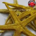Bintang Laut size L Mix Gold. 