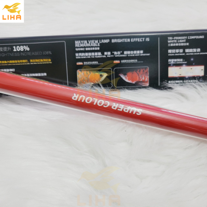 %C4%90%C3%A8n%20Led%20Mayin%20Super%20Color,%20Tanning%20Cho%20C%C3%A1%20R%E1%BB%93ng%20-%20%C4%90%C3%A8n%20Mayin%20Cho%20C%C3%A1%20R%E1%BB%93ng,%20C%C3%A1%20L%C3%B3c,%20C%C3%A1%20V%C3%A0ng,....%20-%20Image%205