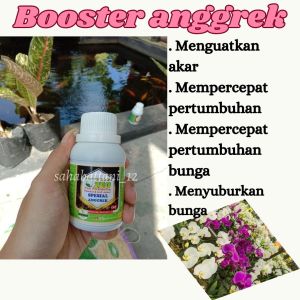 Pupuk anggrek organik | pupuk pelebat bunga anggrek