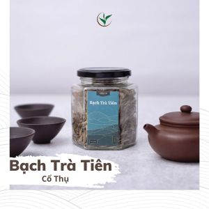 Hũ Bạch Trà Tiên Cổ Thụ Hà Giang Vụ Xuân Trà Hảo Hạng  Thiện Tài Búp Trà Lọ Thủy Tinh 70g Quà Tặng