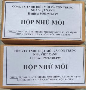 Hộp nhử mối gỗ thông trắng - Hộp nhử mối bắt mối sinh học