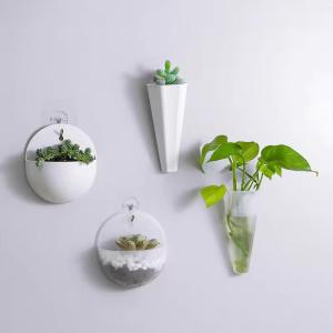 Wall Mounted Vase Multifunctional Hole Free Hydroponic Flowerpot Wall-mounted Flower Pot Green Home