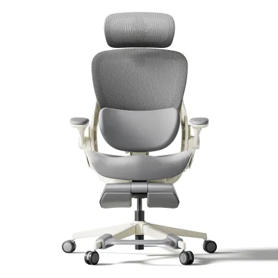 [NEW LAUNCH] Hinomi Q2 Pro Ergonomic Office Chair Adjustable Lumbar Support Memory Foam Headrest Armrest Legrest