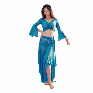 Adult Belly Dance Set Chiffon Dance Dress
