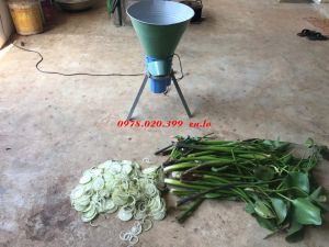 Máy băm rau muống  bèo tây  miễn ship