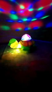 Mainan Anak Kura Kura Funtastic Turtle