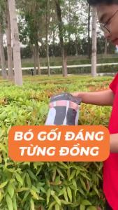 Bó gối thể thao GoodFit GF517K có đệm xốp co giãn 4 chiều bảo vệ khớp gối khi chạy bộ gym đạp xe