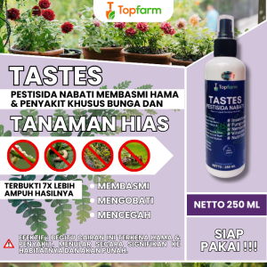 Obat Hama Kaktus / Obat Kaktus Dan Sukulen / Obat Pupuk Untuk Kaktus Sukulen / Obat Kaktus / Obat Hama Organik Cair Kaktus / Obat Hama Tanaman Hias Kaktus Sukulen