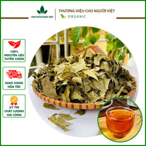 Lá neem Ấn độ 1kg khô sạch nguyên lá kháng khuẩn ổn định đường huyết tốt cho tim mạch