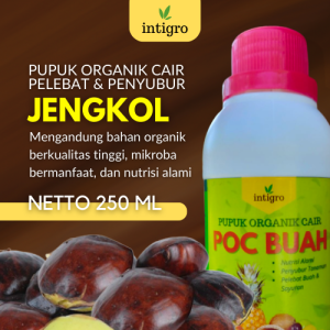 Pupuk Bunga dan Buah Jengkol / Obat Pelebat Buah Jengkol / Pupuk Pelebat Buah Jengkol Organik Cair