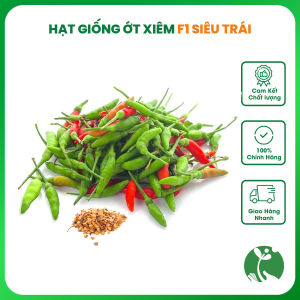 Hạt giống Ớt Xiêm siêu cay thơm nồng - Gói 0.2 gram - Trồng quanh năm